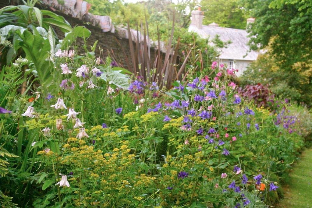 Bed and Breakfast The Old Rectory à Boscastle Extérieur photo